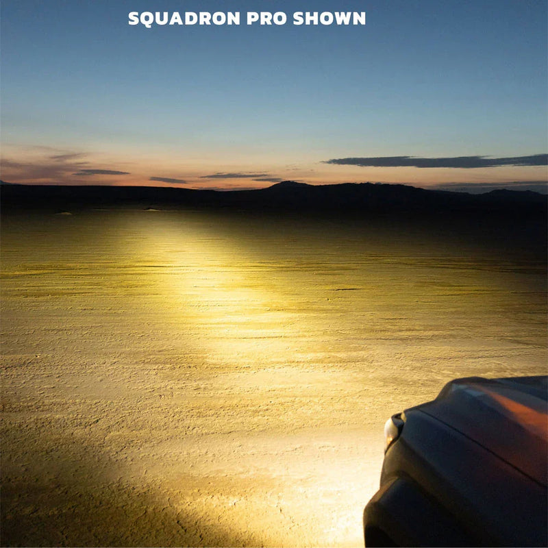 Baja Designs Squadron Behind the Grille Light Kit (Amber or White) - 2025+ 4Runner (Non TRD Pro)