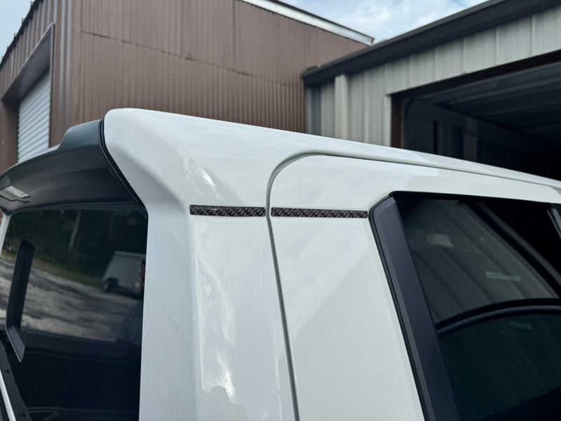 Domed Double Cab Side Line Accent Trim - 2024+ Tacoma