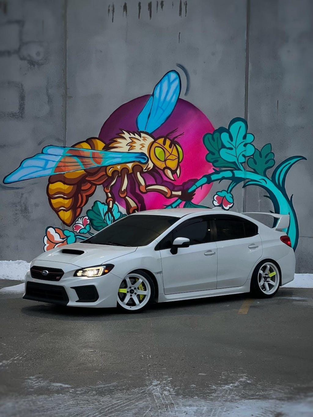 Avid.1 AV06 Wheel Spoke Stickers (Printed Series, 5 Pack) - Universal ...