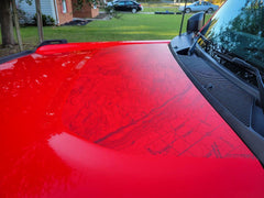 Stealth Clear Moab Topographic Map Hood Overlay - 2021+ Bronco - StickerFab